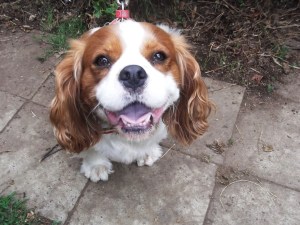 Another contestant for the best smile